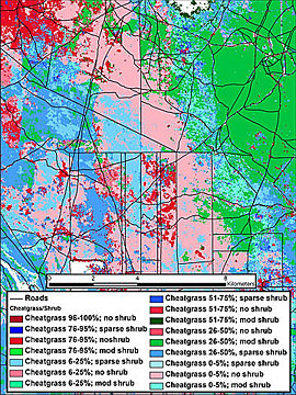 The PNWRC software details the distribution of cheatgrass and shrub cover throughout approximately 80 square miles of Ada County in southern Idaho.