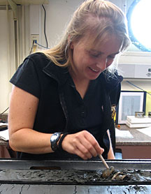 Kelly Rose of NETL's Office of Research and Development examines sediment cores from the Indian Ocean aboard the drillship Joides Resolution.