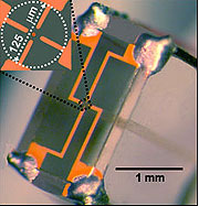 Liquid crystal device built on the tip of an optical fiber.