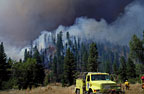 Smoke and Fire: New Toxins Found in Forest Fire Smoke. Image courtesy of Bureau of Land Management. 