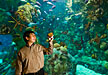 Yifeng Wang holds a piece of banded iron during a visit to an aquarium.