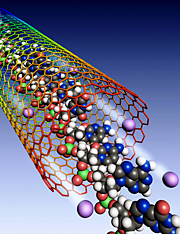 Flow of ions and a DNA through a single-walled carbon nanotube. (Haitao Liu)