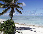 (Photo from cover of journal, Health Physics, Jan. 2010) A view from Bikini Island across the protective ocean reef. Nuclear tests conducted in the early 1950's at Bikini Atoll contaminated Bikini and other islands of the atolls to the east of Bikini.
