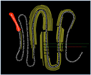 Example of substrate cleavage specificities for human plasma protein Apolipoprotein A-IV. Sequence encased in red is the signal peptide; the detected peptides are represented by the yellow curves.