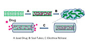 Mechanism of drug delivery using carbon nanotubes