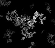A new investigation using X-rays from the Linac Coherent Light Source has helped researchers better understand the structure of airborne soot particles. These simulated particles, based on previous research models, illustrate the expected fractal structure of soot particles in the air. The latest research shows that soot particles produced as aerosols can be noticeably denser than the ones shown here. (Image by Duane Loh and Andy Freeberg, SLAC National Accelerator Laboratory)