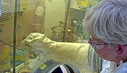 ORNL's Rose Boll works on the production of highly purified berkelium-249, which is used as a target material in the synthesis of element 117.