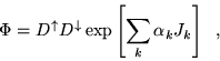 \begin{displaymath}
\Phi = D^{\uparrow}D^{\downarrow} \exp \left[\sum_k \alpha_k J_k \right] \;\;,
\end{displaymath}
