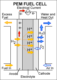 PEM fuel cells consist of electrodes containing a platinum catalyst and a solid polymer electrolyte.  By splitting hydrogen molecules at the anode, and oxygen molecules at the cathode, PEM fuel cells generate an electrical current with only heat and water as a by-product.