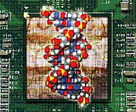 '07 research at PNNL included development of software to help solve data-intensive computational problems in biological research.