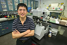 Fanqing Chen (pictured) and Daniele Gerion have harnessed the powers of nanotechnology to image the interior of cell nuclei.
