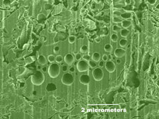 Nanoscale image of diatomite