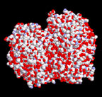A nanoplug-wired enzyme.