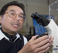 Tuan Vo-Dinh expects big things from the nanoprobe.