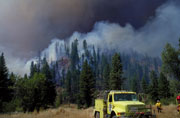 Smoke and Fire: New Toxins Found in Forest Fire Smoke