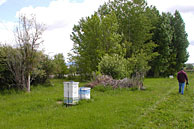 Joe Shaw, bee expert with Montana State University, examines control hives, distant from the carbon dioxide injection area in this NETL research project.
