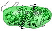 Representation of the nine-gene operon in (A) the cyanobacteria Synechocystis 6803 and (B) other cyanobacteria.