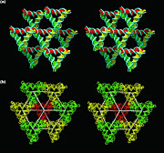 Researchers created 3-D DNA structures by using single-stranded sticky ends that link double helices in DNA triangles that point in different directions. 