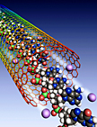 Flow of ions and a DNA through a single-walled carbon nanotube (Haitao Liu)