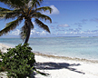 (Photo from cover of journal, Health Physics, Jan. 2010). A view from Bikini Island across the protective ocean reef. Nuclear tests conducted in the early 1950's at Bikini Atoll contaminated Bikini and other islands of the atolls to the east of Bikini.