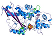 Structure of a unique enzyme