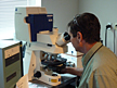 Dr. Robin Brigmon analyzes mold through a Laser Scanning Confocal Microscope