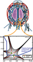 A “snowflake” divertor — a novel plasma-material interface is realized in the National Spherical Torus Experiment (NSTX). A drawing of NSTX is at top, with a circle around the snowflake divertor, and below the machine is the snowflake.