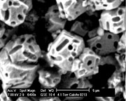 An electron microscope view reveals calcite crystals with pill-shaped impressions left by the bacteria that generated the crystals.