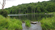 This pond, site of a proposed Marcellus shale gas well pad, currently supports an abundant and diverse fish population