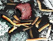 NIH grant to develop new anthrax vaccine