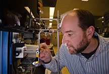 Organic materials chemist Shawn Dirk focuses a projector during work on neural interfaces, which are aimed at improving amputees’ control over prosthetics with direct help from their own nervous systems. Focusing prior to exposing polymers ensures that researchers pattern the desired feature sizes for the interfaces. (Photo by Randy Montoya)