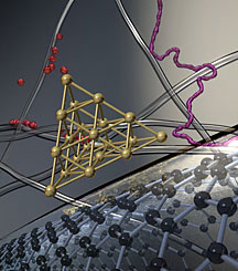 An artistic representation of the synthesis process of gold nanowires on functionalized single-walled carbon nanotubes. The growth mechanism of gold nanowires identified contains an ensemble of adsorption/desorption, shuttling and nanowelding elementary steps.