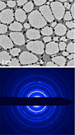 Top: A TEM image of 100-nanometer gold nanoparticles used for electron diffraction (black dots are the nanoparticles; large light-shaded areas are holes in the grid). Bottom: A background subtracted electron diffraction image, collected from the same region of the sample using 200 keV electrons.