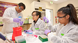 Teacher Michael Sana instructs his students Kahealani Uehara (left) and Jennica Ramones as they conduct their laboratory experience on gene-sequencing at ETEC this summer.