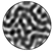 An image of a nanoscale ferromagnetic structure made using a new single-shot X-ray holography technique perfected at SLAC's Linac Coherent Light Source. In the black areas, the magnetization is "up"; in the white areas, it's "down." The light and dark regions are about 100 to 150 nanometers wide. (Image courtesy Tianhan Wang)