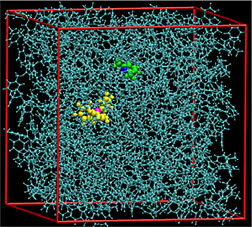 PNNL researchers built simulations showing how two molecules combine to activate hydrogen, shedding new light on a reaction that could, one day, support hydrogenation for biofuels.