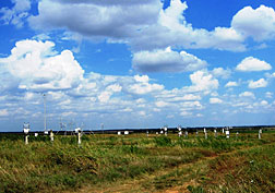Cotton-ball-like cumuli cloud effects are now captured in a regional climate model. Photo courtesy of the U.S. Department of Energy’s Atmospheric Radiation Measurement (ARM) Climate Research Facility.