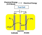 Burning hydrogen in a fuel cell generates an electrical current. A new iron-based catalyst might help make those fuel cells less expensive.