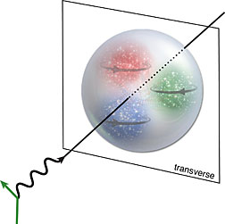 In a proton, quarks with spin pointed in the up direction (red and blue) tend to gather in the left half of the proton as seen by the incoming electron, whereas down-spinning quarks (green) tended to gather in the right half of the proton.
