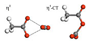 The η2 and η1-CT structures of the acetate-CO2 complex.