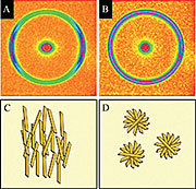 X-ray diffraction patterns reveal the orientation of fat crystals. The distribution and directionality of these crystal nanostructures (parallel to the shear field in C, randomly arranged in D) affects the flavor and texture of foods.