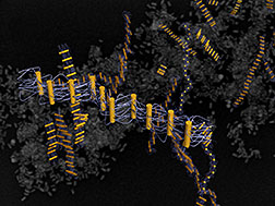 DNA-tethered nanorods link up like rungs on a ribbonlike ladder—a new mechanism for linear self-assembly that may be unique to the nanoscale.