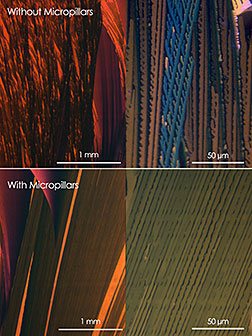Cross-polarized optical micrograph comparing a sample of an organic semiconducting film created without micropillars (top) with micropillars (bottom) at scales of both one millimeter and 50 micrometers. (Credit: Y. Diao et al.)