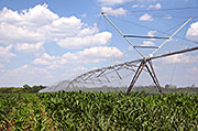 Crop irrigation is one of the largest ways humans perturb the climate. Including irrigation in model calculations will help bring model estimates closer to a complete representation of the climate.
