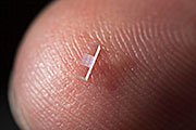 Nanofabricated chips of fused silica just 3 millimeters long were used to accelerate electrons at a rate 10 times higher than conventional particle accelerator technology. (Matt Beardsley/SLAC)