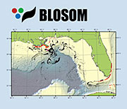 Researchers evaluate capabilities of BLOSOM, NETL’s blowout oil spill model