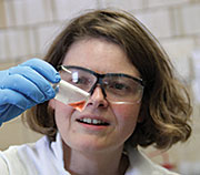 New, but already part of the family: Anja Mudring joins Ames Laboratory and Critical Materials Institute to study ionic liquids after long-time Ames Lab connections.