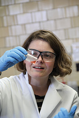 New, but already part of the family: Anja Mudring joins Ames Laboratory and Critical Materials Institute to study ionic liquids after long-time Ames Lab connections.