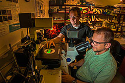 Sandia National Laboratories researchers George Bachand and Wally Paxton at a confocal microscope illuminating the first biomolecular machines to assemble complex polymer structures. (Photo by Randy Montoya)