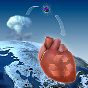 Researchers have determined that cells in the human heart develop into adulthood by looking at the amount of carbon 14 in the atmosphere from above-ground nuclear testing in the 1950s and 1960. Illustration by Mattias Karlén, Karolinska Institute